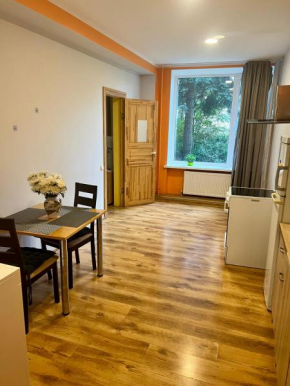 Agenskalns comfy apartment, Riga